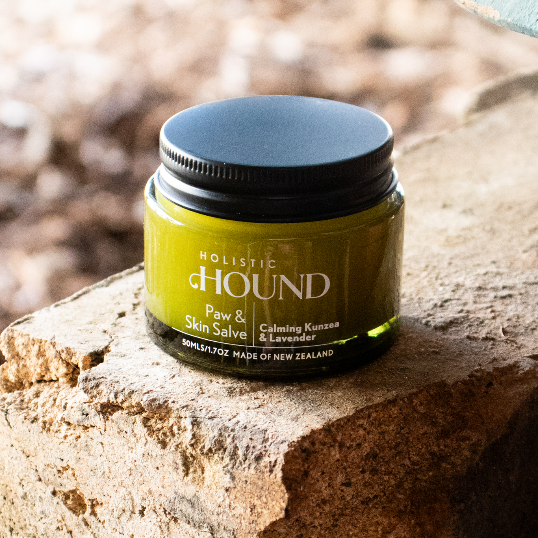 Holistic Hound Paw & Skin Salve 50g